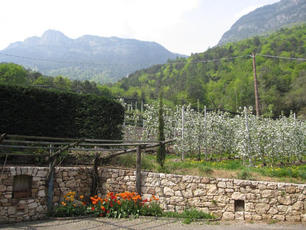 Schloss-Hof Appiano Sulla Strada Del Vino Quarto foto